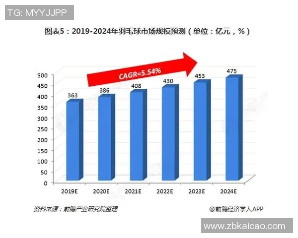 历届羽毛球体育明星排名与成就回顾分析及影响力探讨